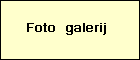 Bekijk foto's van boggeler
